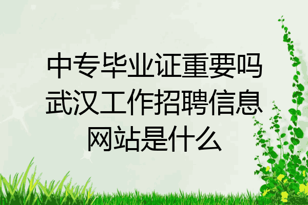 中专毕业证重要吗武汉工作招聘信息网站是什么
