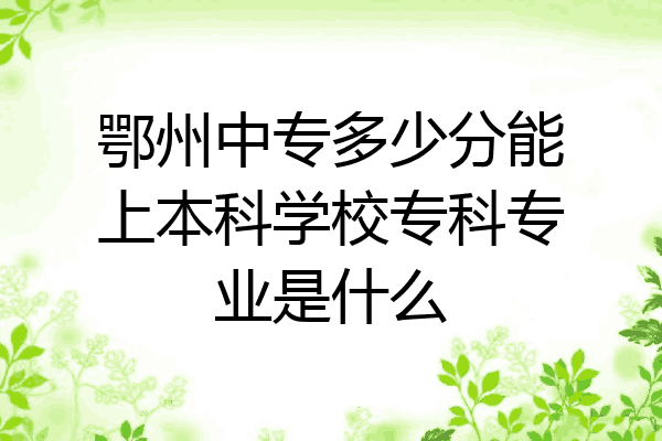 鄂州中专多少分能上本科学校专科专业是什么