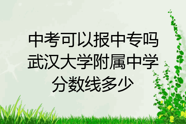 中考可以报中专吗武汉大学附属中学分数线多少