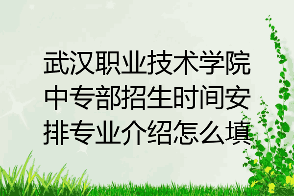 武汉职业技术学院中专部招生时间安排专业介绍怎么填