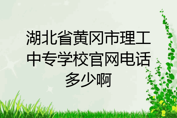 湖北省黄冈市理工中专学校官网电话多少啊