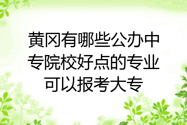 黄冈有哪些公办中专院校好点的专业可以报考大专