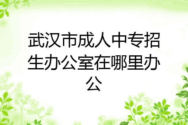 武汉市成人中专招生办公室在哪里办公