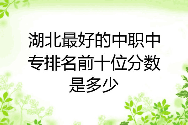 湖北最好的中职中专排名前十位分数是多少
