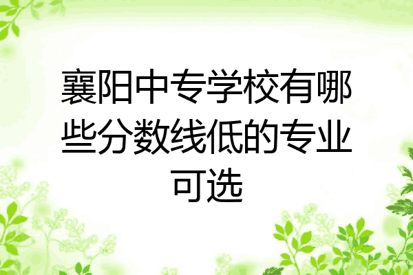 襄阳中专学校有哪些分数线低的专业可选