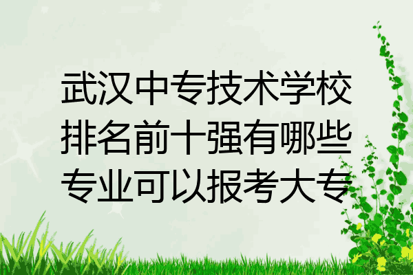 武汉中专技术学校排名前十强有哪些专业可以报考大专