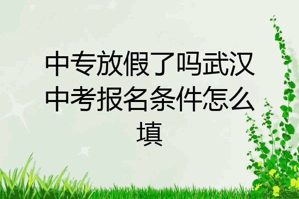 中专放假了吗武汉中考报名条件怎么填