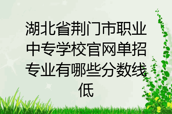 湖北省荆门市职业中专学校官网单招专业有哪些分数线低