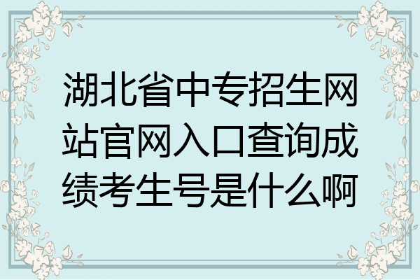 湖北省中专招生网站官网入口查询成绩考生号是什么啊