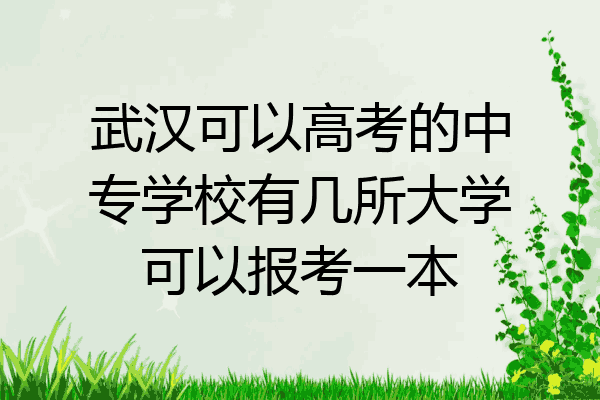 武汉可以高考的中专学校有几所大学可以报考一本