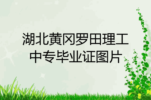 湖北黄冈罗田理工中专毕业证图片