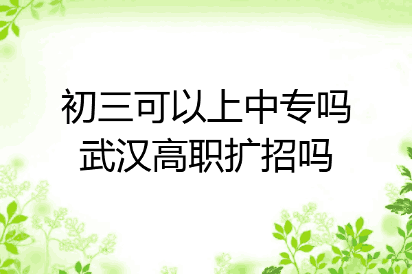 初三可以上中专吗武汉高职扩招吗