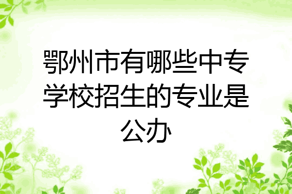 鄂州市有哪些中专学校招生的专业是公办