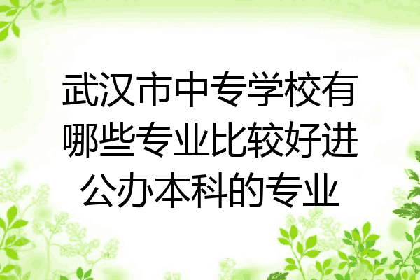 武汉市中专学校有哪些专业比较好进公办本科的专业