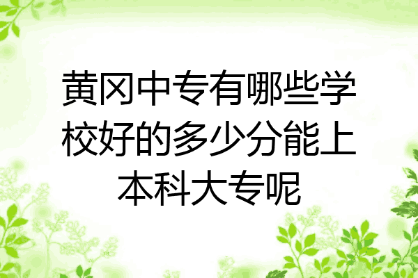 黄冈中专有哪些学校好的多少分能上本科大专呢