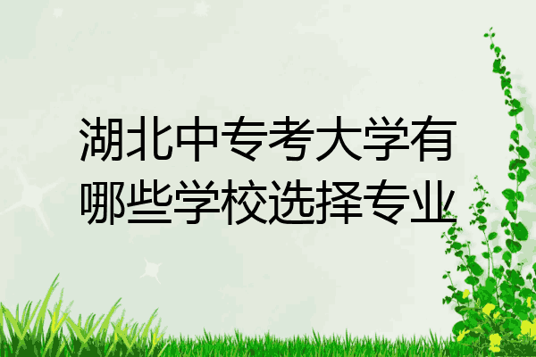 湖北中专考大学有哪些学校选择专业