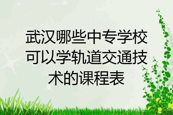 武汉哪些中专学校可以学轨道交通技术的课程表