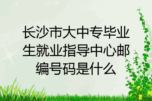 长沙市大中专毕业生就业指导中心邮编号码是什么