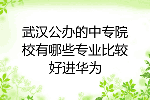 武汉公办的中专院校有哪些专业比较好进华为