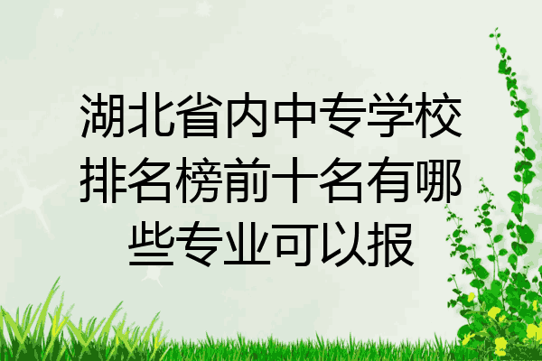 湖北省内中专学校排名榜前十名有哪些专业可以报