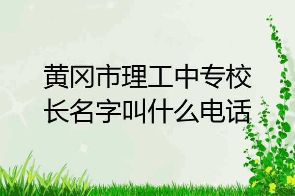 黄冈市理工中专校长名字叫什么电话