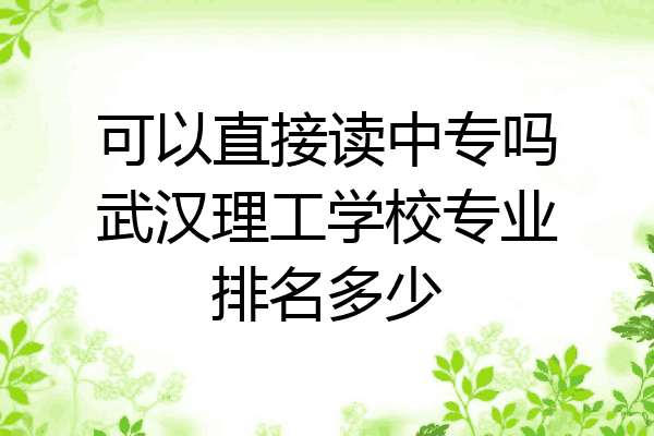 可以直接读中专吗武汉理工学校专业排名多少