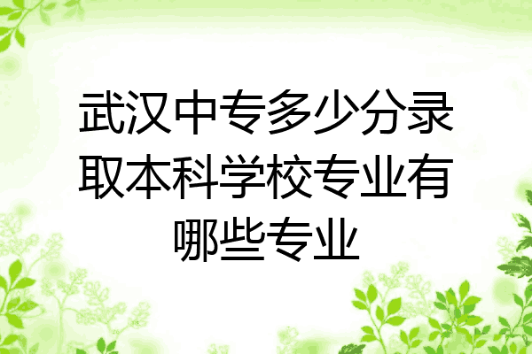 武汉中专多少分录取本科学校专业有哪些专业