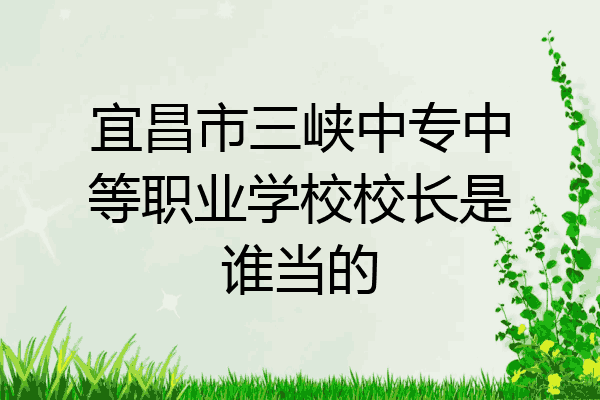 宜昌市三峡中专中等职业学校校长是谁当的