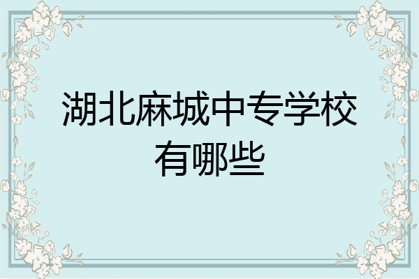 湖北麻城中专学校有哪些