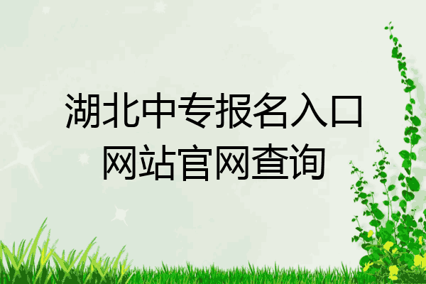 湖北中专报名入口网站官网查询