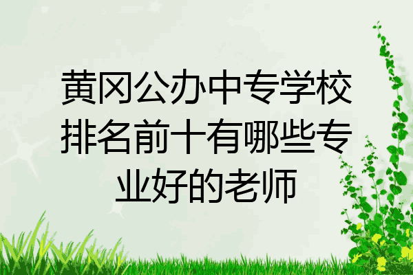 黄冈公办中专学校排名前十有哪些专业好的老师