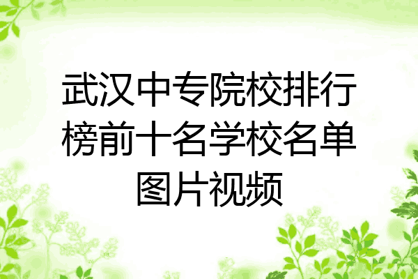 武汉中专院校排行榜前十名学校名单图片视频