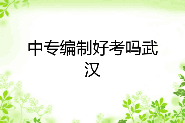 中专编制好考吗武汉