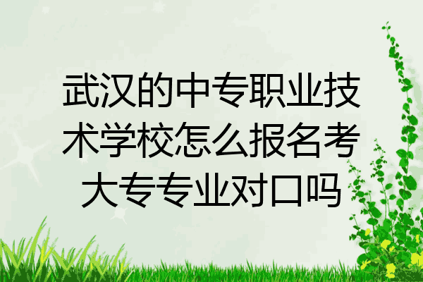 武汉的中专职业技术学校怎么报名考大专专业对口吗