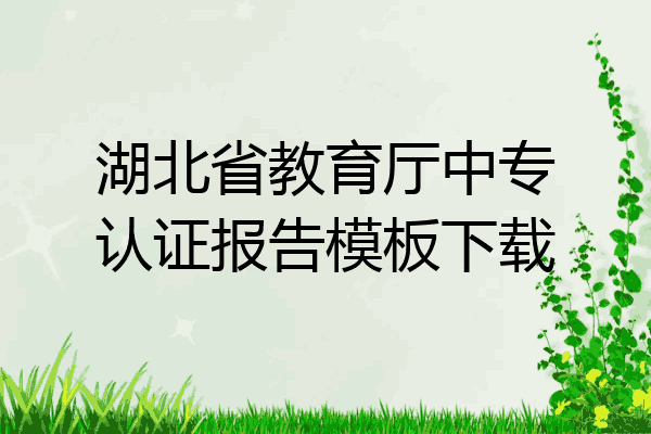 湖北省教育厅中专认证报告模板下载