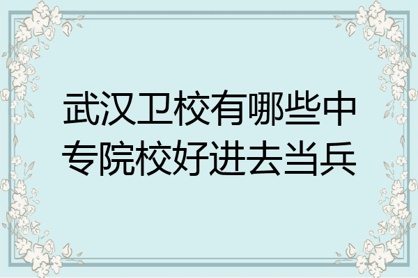 武汉卫校有哪些中专院校好进去当兵