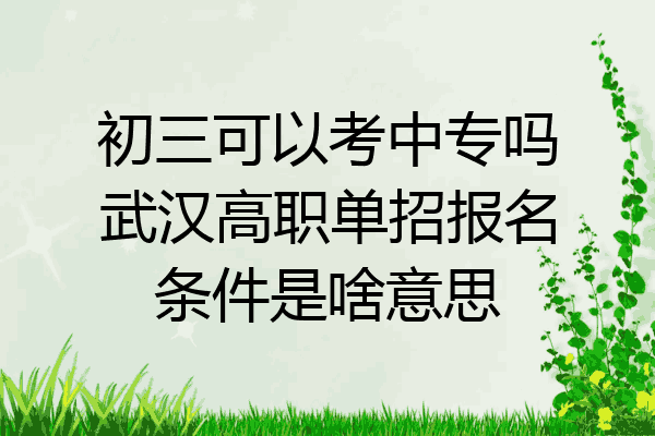 初三可以考中专吗武汉高职单招报名条件是啥意思