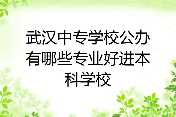 武汉中专学校公办有哪些专业好进本科学校