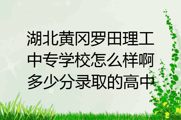 湖北黄冈罗田理工中专学校怎么样啊多少分录取的高中