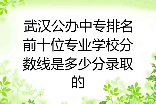 武汉公办中专排名前十位专业学校分数线是多少分录取的