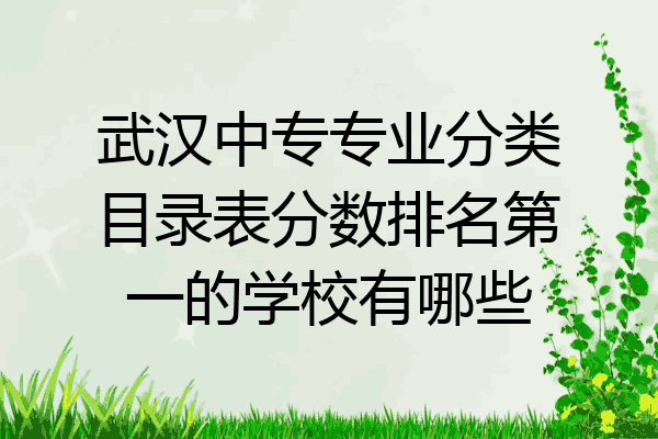 武汉中专专业分类目录表分数排名第一的学校有哪些