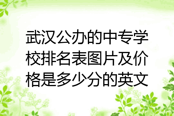 武汉公办的中专学校排名表图片及价格是多少分的英文