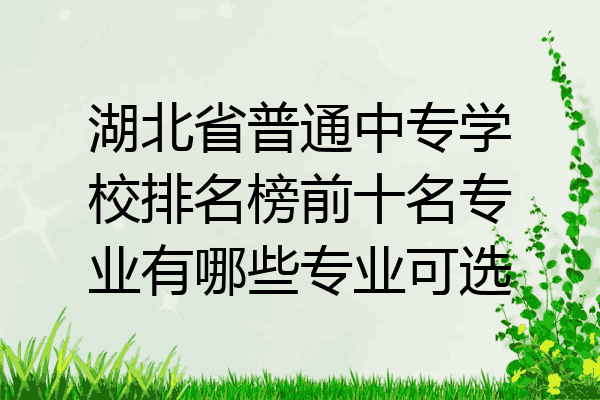 湖北省普通中专学校排名榜前十名专业有哪些专业可选