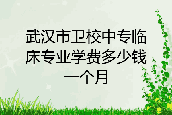 武汉市卫校中专临床专业学费多少钱一个月