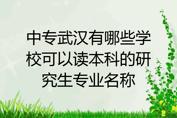 中专武汉有哪些学校可以读本科的研究生专业名称