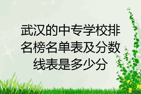 武汉的中专学校排名榜名单表及分数线表是多少分