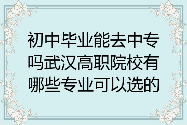 初中毕业能去中专吗武汉高职院校有哪些专业可以选的