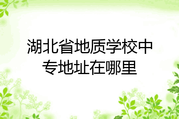 湖北省地质学校中专地址在哪里