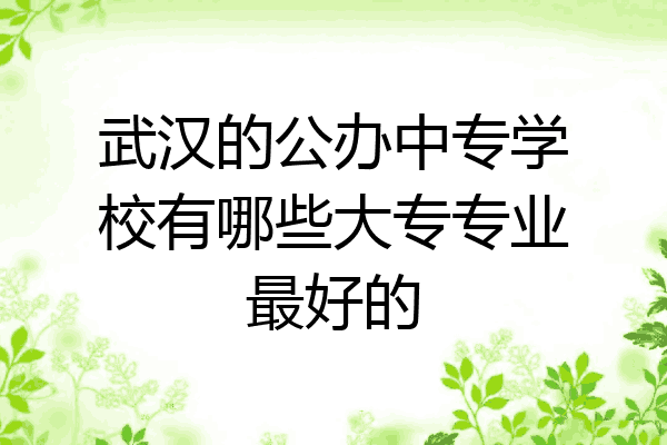 武汉的公办中专学校有哪些大专专业最好的
