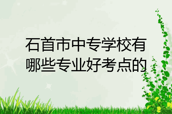石首市中专学校有哪些专业好考点的